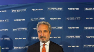 Folgiero, nuovo piano industriale entro anno, priorità a difesa