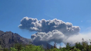Un volc&aacute;n entra en erupci&oacute;n en Jap&oacute;n