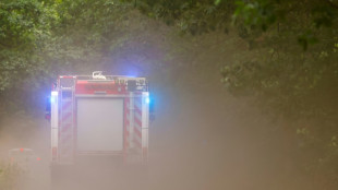 Evakuierung zweier Ortschaften wegen gro&szlig;en Waldbrands in Brandenburg aufgehoben