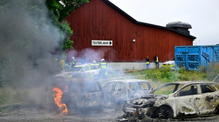 Mindestens sieben Verletzte nach Ausschreitungen bei  Eritreafestival in Schweden
