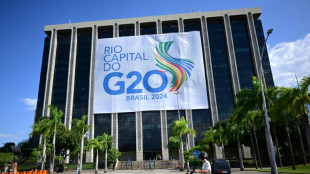 G20 wrestles with wars, climate in run-up to Trump