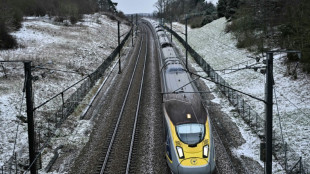 Zugstrecke unter den &Auml;rmelkanal: Virgin-Konzern will Eurostar Konkurrenz machen