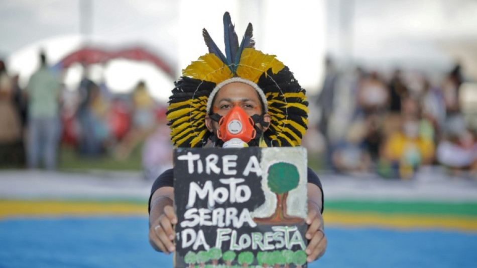 Br&eacute;sil: les terres indig&egrave;nes, un rempart contre la d&eacute;forestation