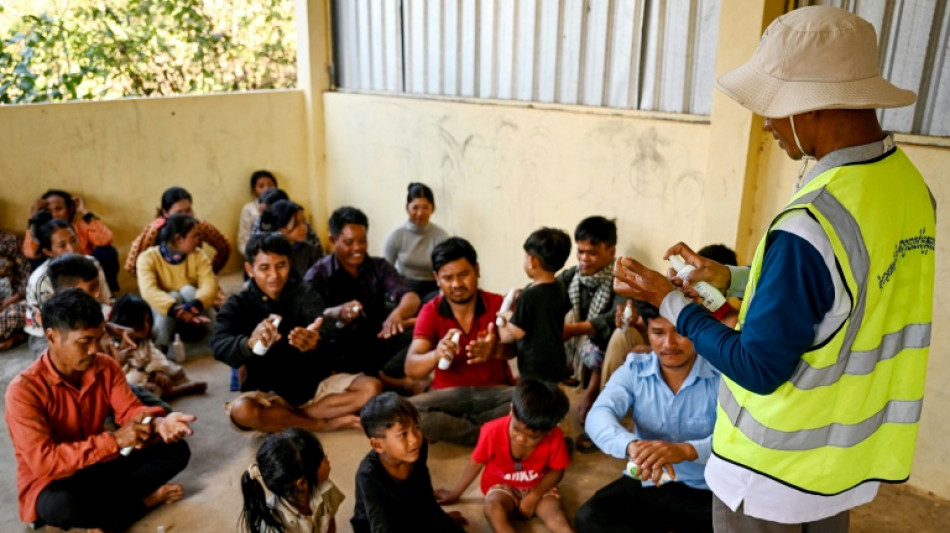 La OMS alerta sobre un aumento del n&uacute;mero de muertes y casos de malaria