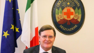 Ambasciatore Novello lascia L'Aja, 'anni intensi e gratificanti'