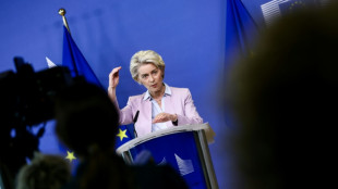 EU-Kommission strebt Preisdeckel für russisches Gas an