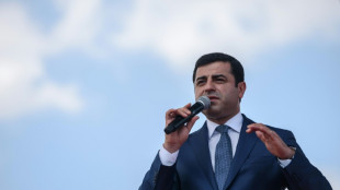 After ECHR ruling, Turkey opposition urges pro-Kurd leader's release