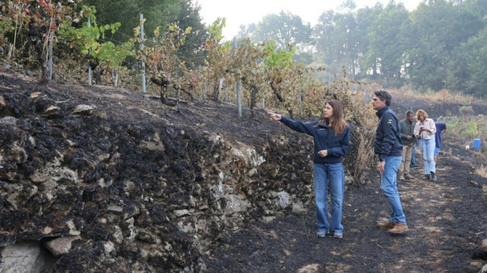 La bajada de las temperaturas ayuda a los bomberos a combatir incendios en España