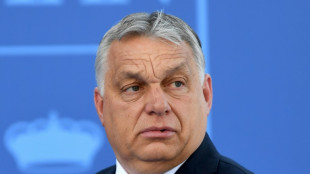 Bundesregierung nennt Orbans Nazi-Anspielung "v&ouml;llig deplatziert"