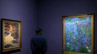 Exhibit on Monet's prolific Venice visit debuts at Brooklyn Museum