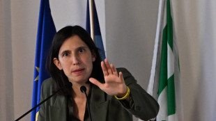 Schlein, patrioti espongono l'Italia a un crollo di credibilità