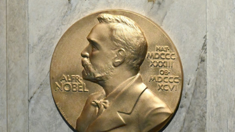 Auffällige Wettquoten: Nobelinstitut vermutet Spionage bei Friedensnobelpreis