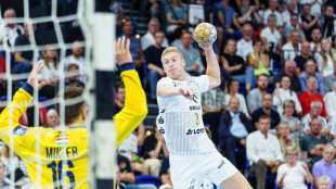 Magdeburg verliert erneut - n&auml;chster Kieler Sieg