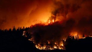 Notstand in kanadischer Provinz British Columbia wegen Waldbr&auml;nden ausgerufen