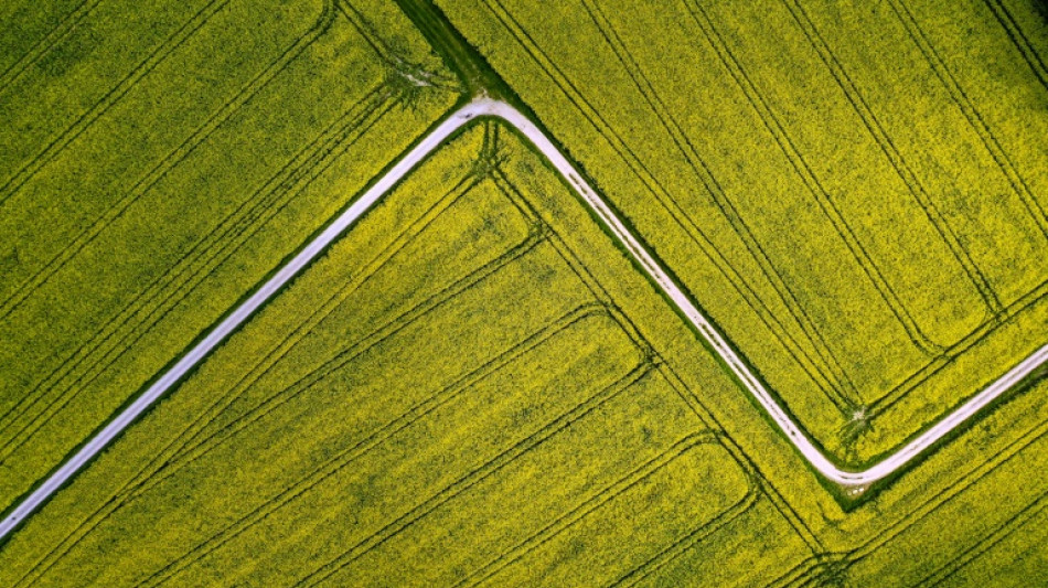 Bauernverband pocht auf Ausnahmen bei Stilllegung von Ackerfl&auml;chen