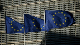 Nouveau report du plan de Bruxelles pour le "made in Europe"