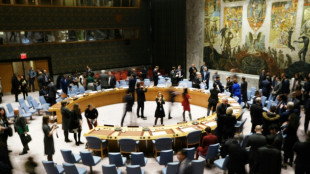 Le Conseil de s&eacute;curit&eacute; de l'ONU dans l'expectative sur l'aide humanitaire transfrontali&egrave;re &agrave; la Syrie