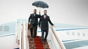 Regierungsvertreter: Syrischer Präsident will in Moskau Assads Auslieferung fordern