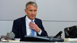 Weiterer Prozess gegen H&ouml;cke wegen Verwendens von NS-Parole: Anklage verlesen