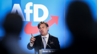 AfD setzt Aufstellung von Kandidatenliste f&uuml;r Europawahl fort