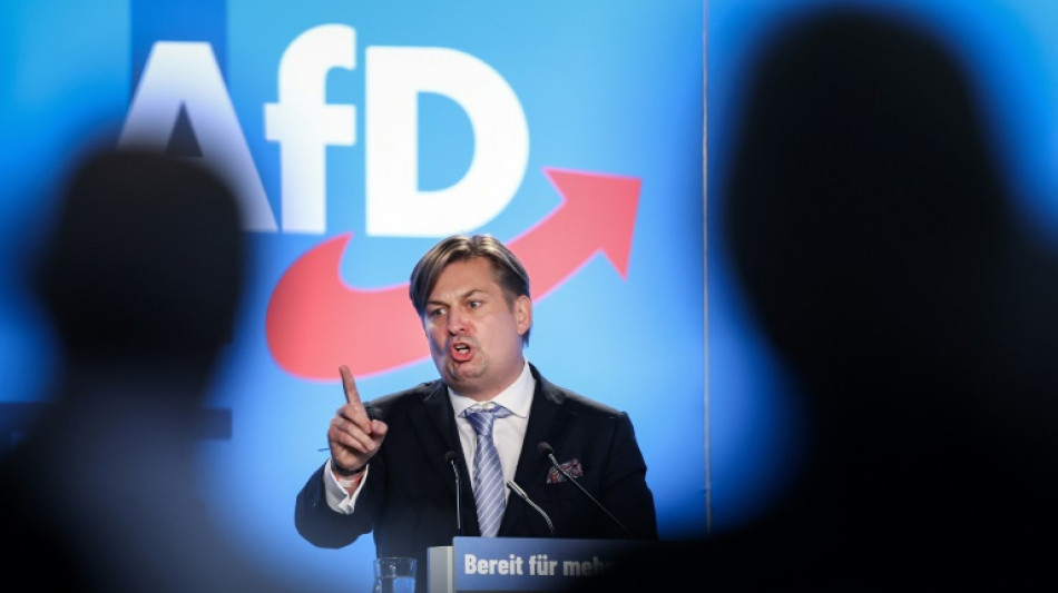 AfD setzt Kandidatenk&uuml;r bei Europawahlversammlung in Magdeburg fort