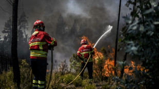 Waldbrand im Zentrum Portugals zerst&ouml;rt mehr als 7000 Hektar Land