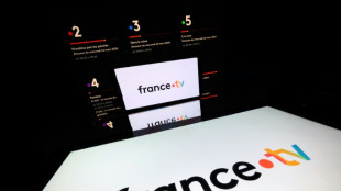 Grève dans l'audiovisuel public, rapprochement des sociétés au menu des députés