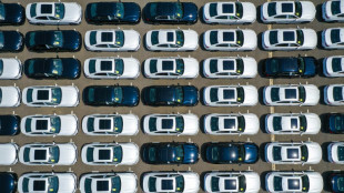 Handelsstreit mit China: BMW-Chef Zipse fordert Nein zu EU-Z&ouml;llen auf E-Autos