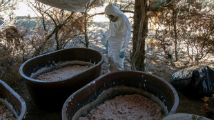 D'Afrique australe &agrave; l'Australie, la nouvelle route de la meth du cartel de Sinaloa