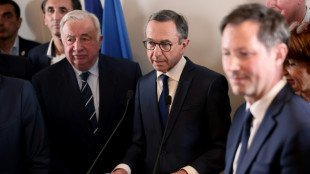 El ministro del Interior se convierte en el nuevo líder de la derecha en Francia