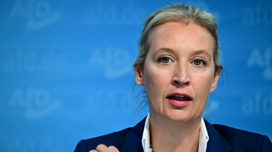 AfD-Chefin Weidel: US-Wahl k&ouml;nnte "ein Vorbild f&uuml;r Deutschland sein"