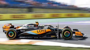 Norris supera Verstappen no 2&ordm; treino livre do GP da Holanda; Ricciardo fratura m&atilde;o