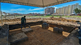 Une d&eacute;couverte arch&eacute;ologique qui pourrait r&eacute;&eacute;crire l'histoire du Br&eacute;sil