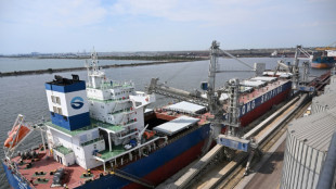 Kiew: Erstes Frachtschiff verl&auml;sst Schwarzmeerhafen Odessa &uuml;ber neuen Korridor