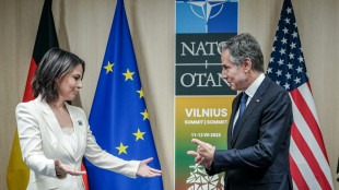 Baerbock trifft in Washington Parlamentarier und Au&szlig;enminister Blinken