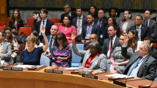 UN-Sicherheitsrat unterst&uuml;tzt Plan f&uuml;r Waffenruhe im Gazastreifen 