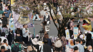 Japan allows joint child custody after divorce