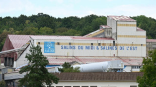 Le tr&egrave;s long chemin pour relancer l'activit&eacute; mini&egrave;re en France et en Europe