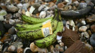 UK public urged to keep eyes peeled for washed-up bananas