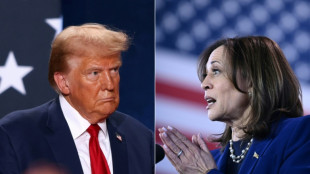 Harris y Trump comienzan el &uacute;ltimo fin de semana de campa&ntilde;a