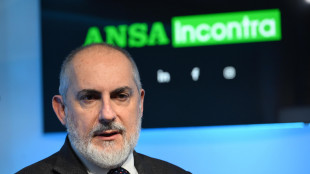 Fs, l'amministratore delegato Donnarumma ad Ansa Incontra