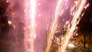 Eilantrag gegen B&ouml;llerverbot auf Nordseeinseln F&ouml;hr und Amrum erfolgreich