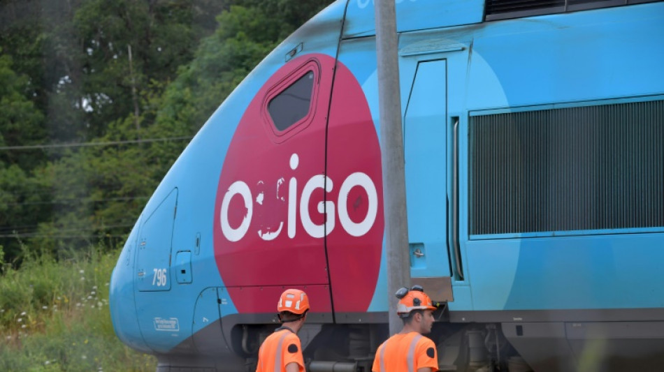 El tr&aacute;fico ferroviario en Francia, todav&iacute;a alterado por el sabotaje