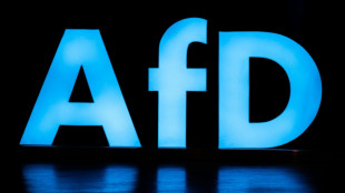 Zwei Niederlagen f&uuml;r AfD vor bayerischem Verfassungsgerichtshof