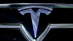 Tesla EU sales slump 53% in April: trade group