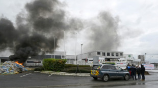 Nestl&eacute; cierra una f&aacute;brica en Francia tras un esc&aacute;ndalo de pizzas contaminadas
