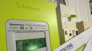 "Pas de temps &agrave; perdre": l'UE tente de r&eacute;duire les factures d'&eacute;nergie