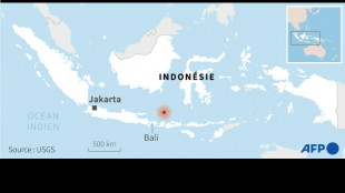 Indonésie: un séisme de magnitude 7,1 ébranle Bali sans dégâts importants