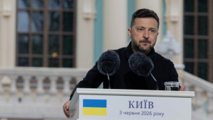 Zelensky says will discuss Ukraine war with Trump at G7 summit