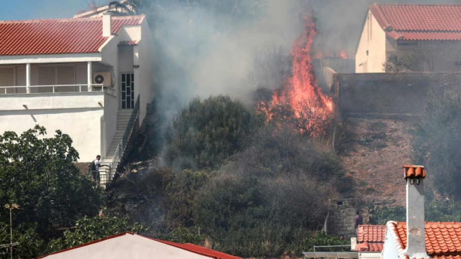 Feux de for&ecirc;t en Gr&egrave;ce: le gouvernement &eacute;voque "une lutte difficile" pour sauver l'&eacute;cosyst&egrave;me